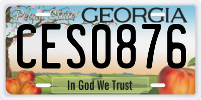 GA license plate CES0876