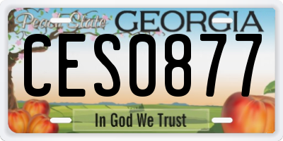 GA license plate CES0877