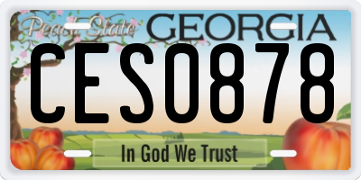 GA license plate CES0878