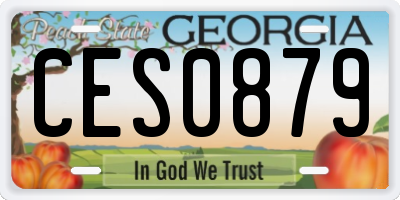 GA license plate CES0879