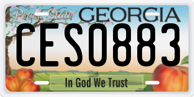 GA license plate CES0883