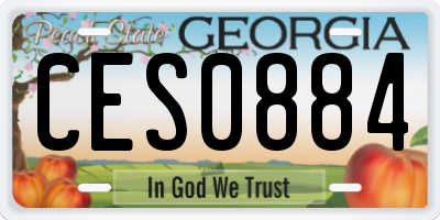 GA license plate CES0884