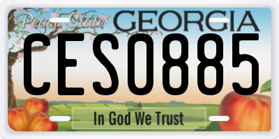 GA license plate CES0885