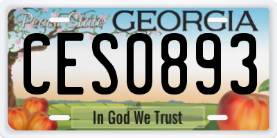 GA license plate CES0893