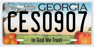 GA license plate CES0907