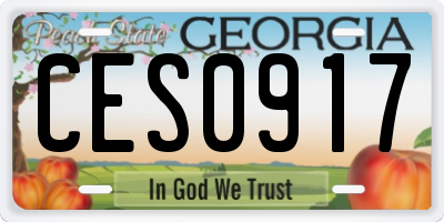 GA license plate CES0917