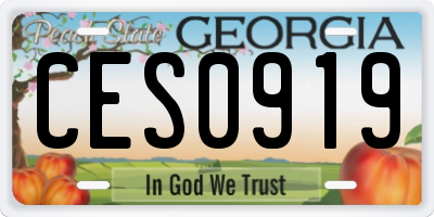 GA license plate CES0919