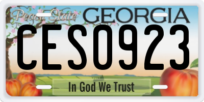 GA license plate CES0923