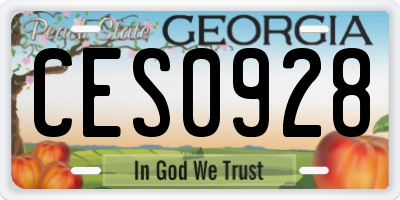 GA license plate CES0928