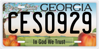 GA license plate CES0929