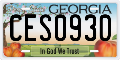 GA license plate CES0930