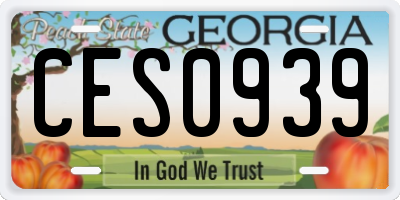 GA license plate CES0939