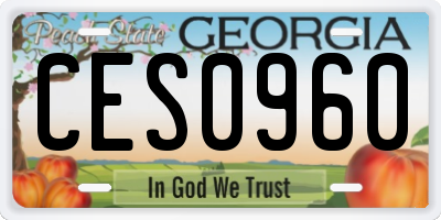 GA license plate CES0960