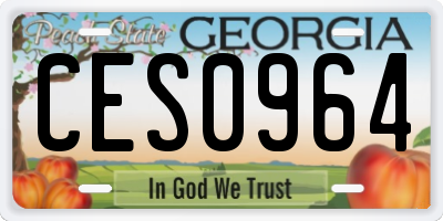 GA license plate CES0964
