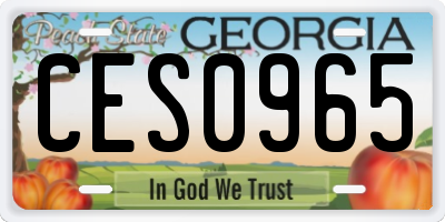 GA license plate CES0965