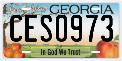 GA license plate CES0973