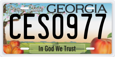 GA license plate CES0977