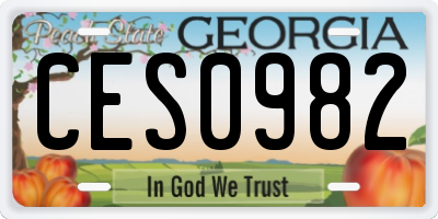 GA license plate CES0982