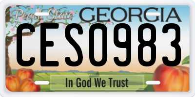 GA license plate CES0983