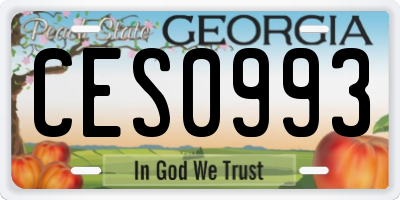 GA license plate CES0993