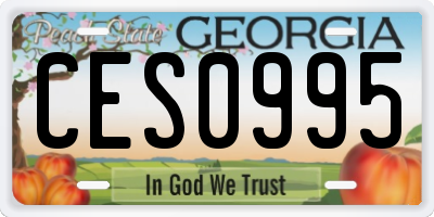 GA license plate CES0995