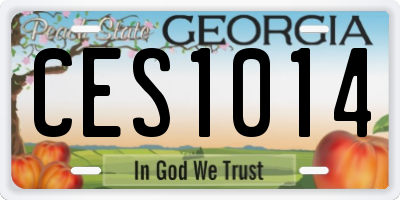 GA license plate CES1014