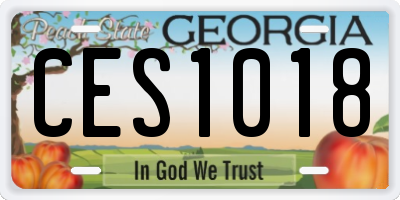 GA license plate CES1018