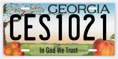 GA license plate CES1021