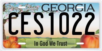 GA license plate CES1022