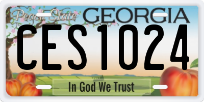 GA license plate CES1024