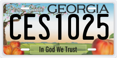 GA license plate CES1025