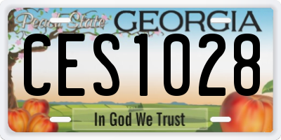 GA license plate CES1028