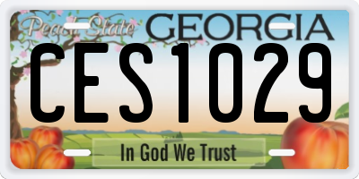 GA license plate CES1029