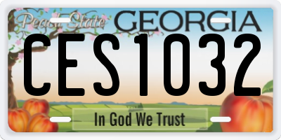 GA license plate CES1032