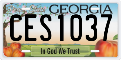GA license plate CES1037