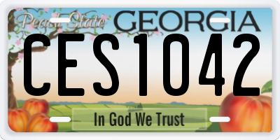 GA license plate CES1042