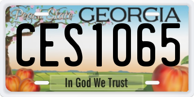 GA license plate CES1065