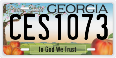 GA license plate CES1073