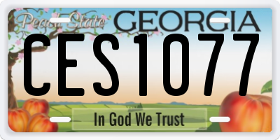 GA license plate CES1077