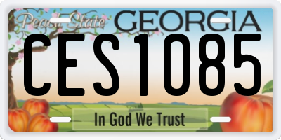 GA license plate CES1085