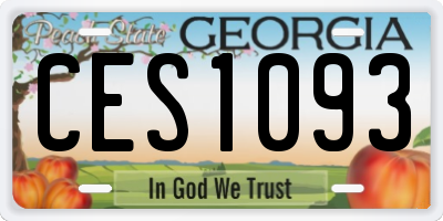 GA license plate CES1093