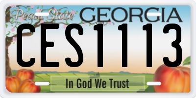GA license plate CES1113