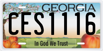 GA license plate CES1116