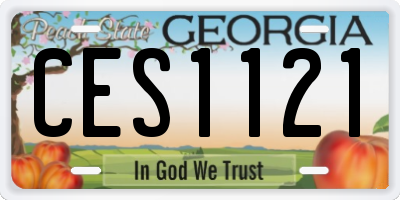 GA license plate CES1121