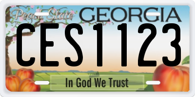 GA license plate CES1123