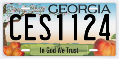 GA license plate CES1124