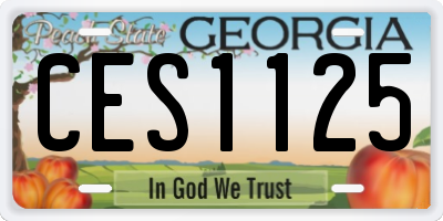 GA license plate CES1125