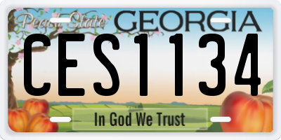 GA license plate CES1134