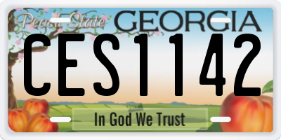 GA license plate CES1142