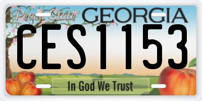 GA license plate CES1153